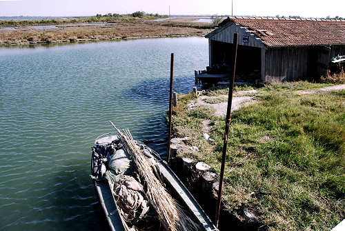 Cavallino Treporti Laguna Nord Di Venezia Lio Piccolo Ca Savio Lio