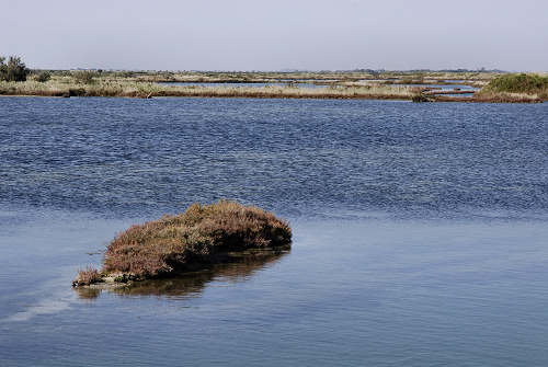 Cavallino Treporti Laguna Nord Di Venezia Lio Piccolo Ca Savio Lio