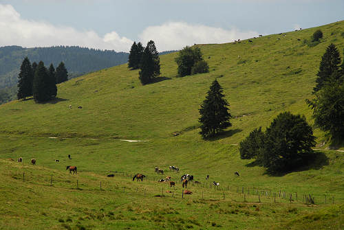 Gallio, Valbella Sisemol c.ra Stenfle val Melago