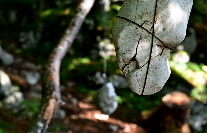 SelvArt, Sentiero Arte Natura a Mezzaselva di Roana, monte Erio