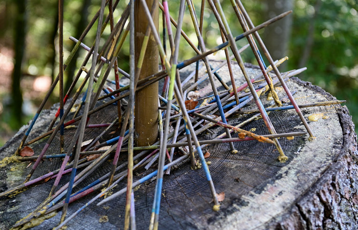 SelvArt, Sentiero Arte Natura a Mezzaselva di Roana, monte Erio