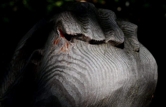 SelvArt, Sentiero Arte Natura a Mezzaselva di Roana, monte Erio