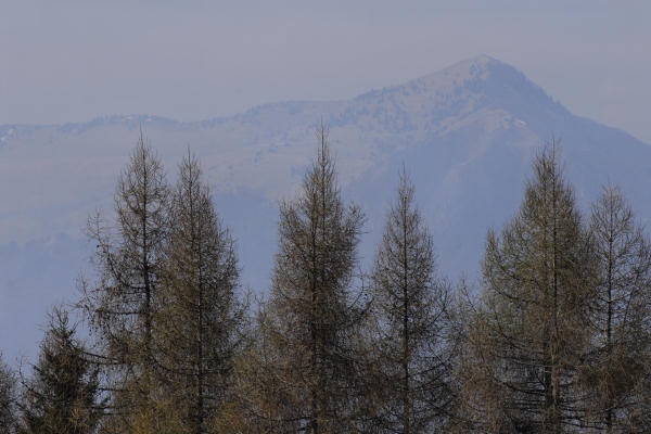 malga Monte Garda al monte Cesen - Lentiai Valbelluna