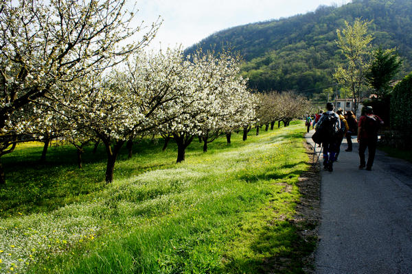 Monti Berici Val Liona - passeggiata Pederiva Monte Faeo Lupia e Casotti di San Germano dei Berici