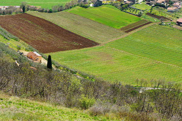 Monti Berici Val Liona - passeggiata Pederiva Monte Faeo Lupia e Casotti di San Germano dei Berici