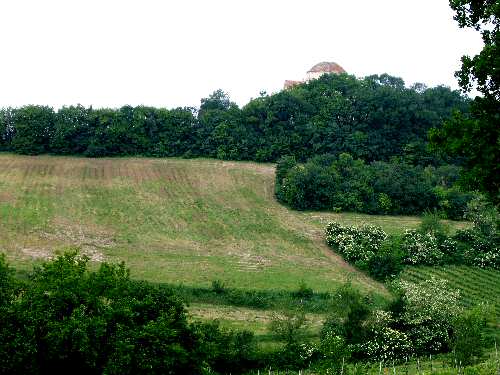 Lonigo - Monti Berici, Vicenza