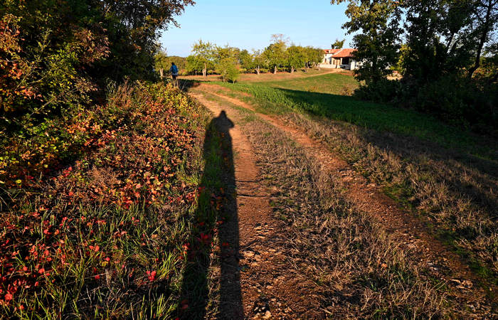 Autunno nei Monti di Lonigo