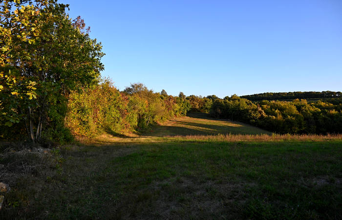 Autunno nei Monti di Lonigo