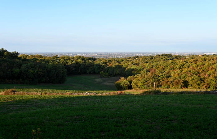 Autunno nei Monti di Lonigo