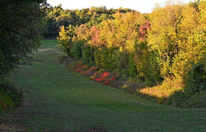 Autunno nei Monti di Lonigo