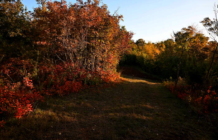 Autunno nei Monti di Lonigo