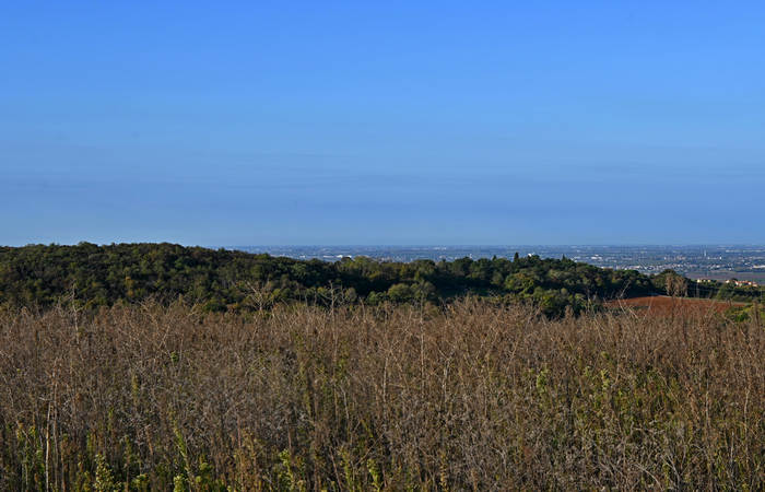 Autunno nei Monti di Lonigo