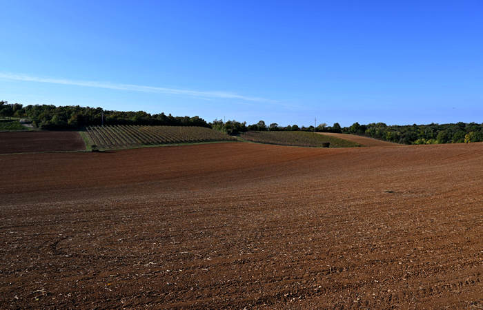 Autunno nei Monti di Lonigo