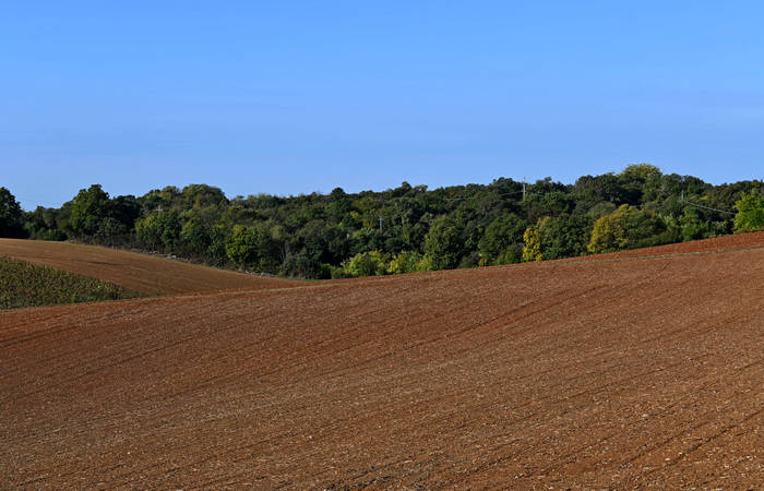 Autunno nei Monti di Lonigo