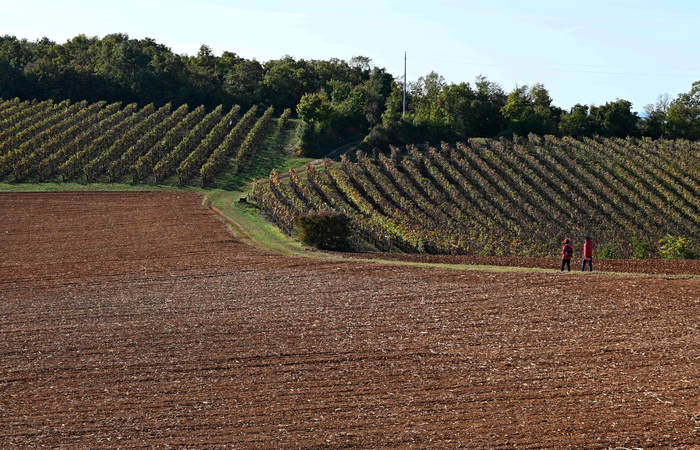 Autunno nei Monti di Lonigo