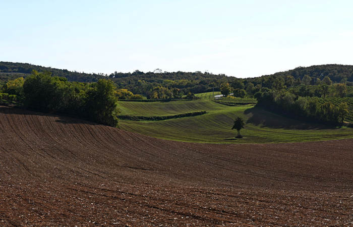 Autunno nei Monti di Lonigo