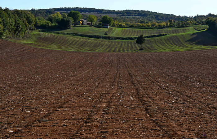 Autunno nei Monti di Lonigo