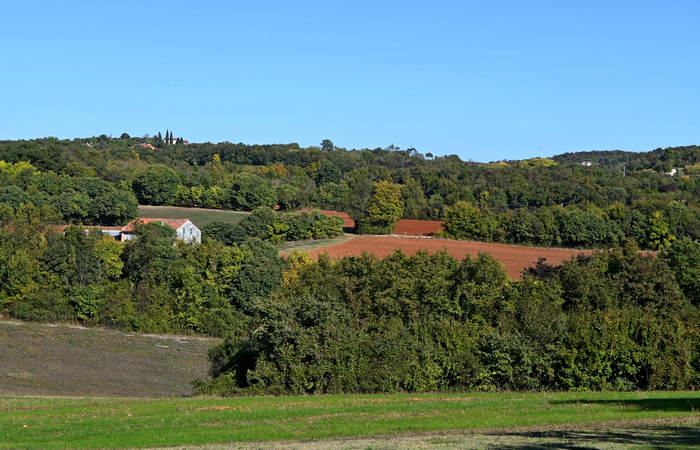 Autunno nei Monti di Lonigo