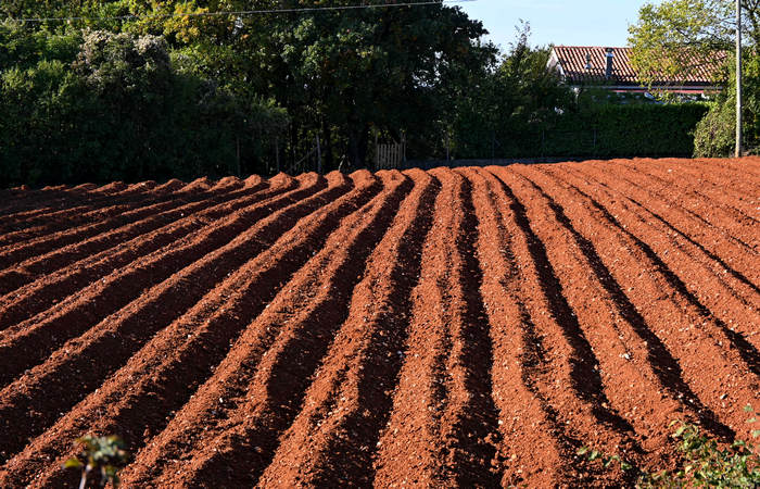 Autunno nei Monti di Lonigo