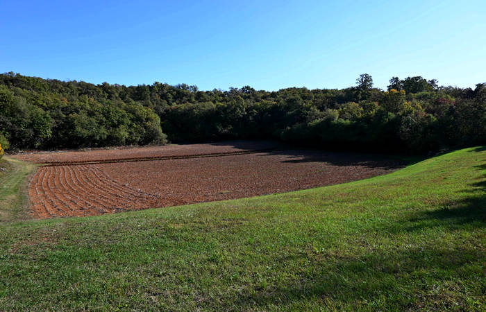 Autunno nei Monti di Lonigo