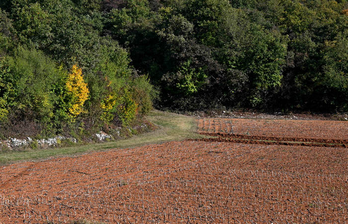 Autunno nei Monti di Lonigo