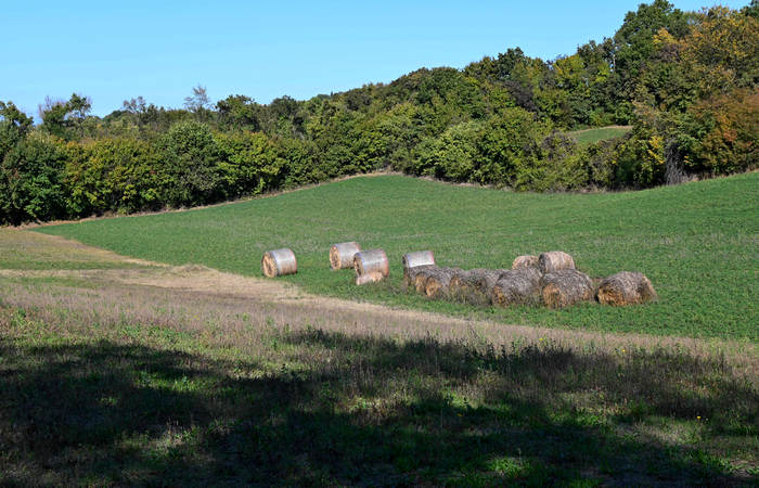 Autunno nei Monti di Lonigo