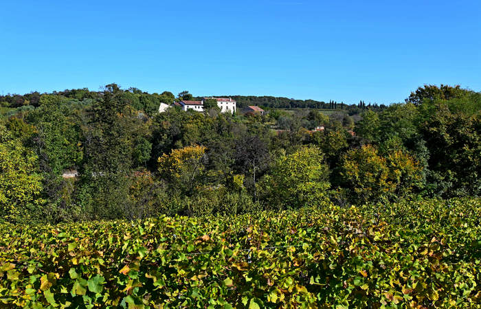 Autunno nei Monti di Lonigo