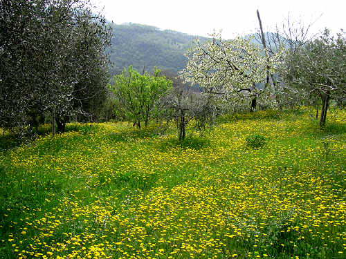 Altopiano di Pozzolo, Villaga - Monti Berici