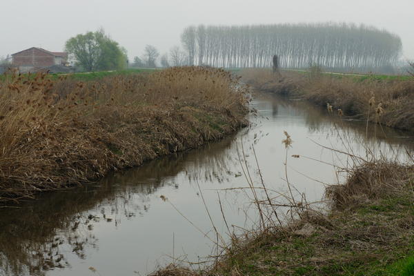 Itinerario Anello delle citt&agrave; murate - Provincia di Padova