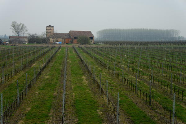 Itinerario Anello delle citt&agrave; murate - Provincia di Padova