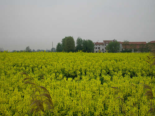 da Montagnana a Legnago