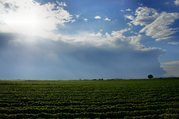 Padova, Monselice, Rovigo, Ferrara - Cammino Sant'Antonio