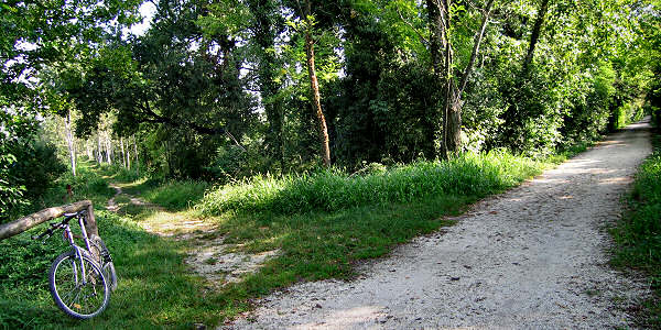 Badoere di Morgano, Treviso, ex ferrovia militare Ostiglia