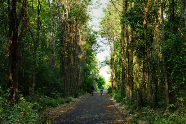 Cocche Arsego di San Giorgio delle Pertiche, ex ferrovia militare Ostiglia