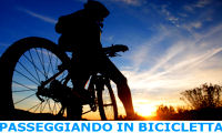 passeggiando in bicicletta