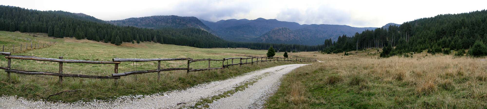 Valmenera nella Foresta del Cansiglio