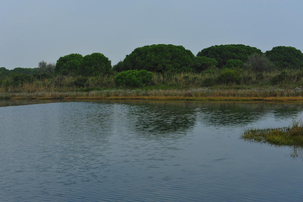 Giardino Botanico Litoraneo di POrto Caleri a Rosolina Mare