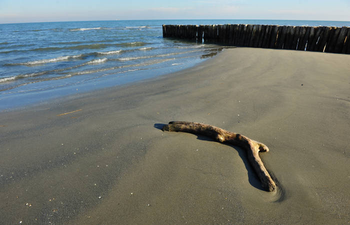 spiaggia di Boccasette alla foce del Po di Maistra, Porto Tolle