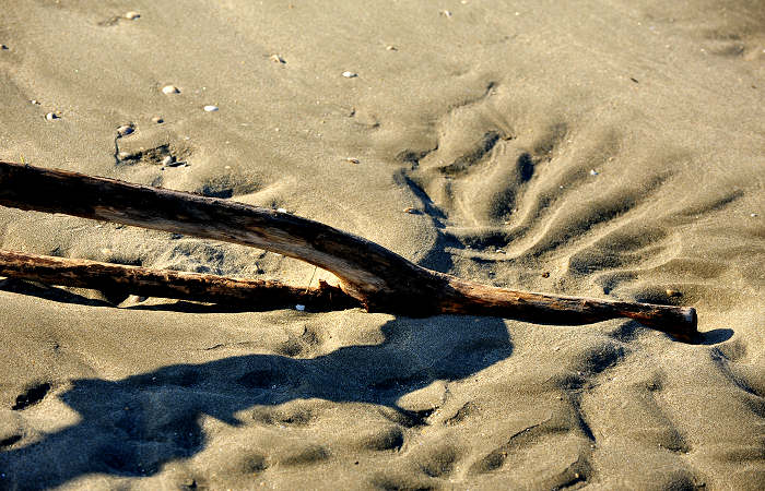 spiaggia di Boccasette alla foce del Po di Maistra, Porto Tolle