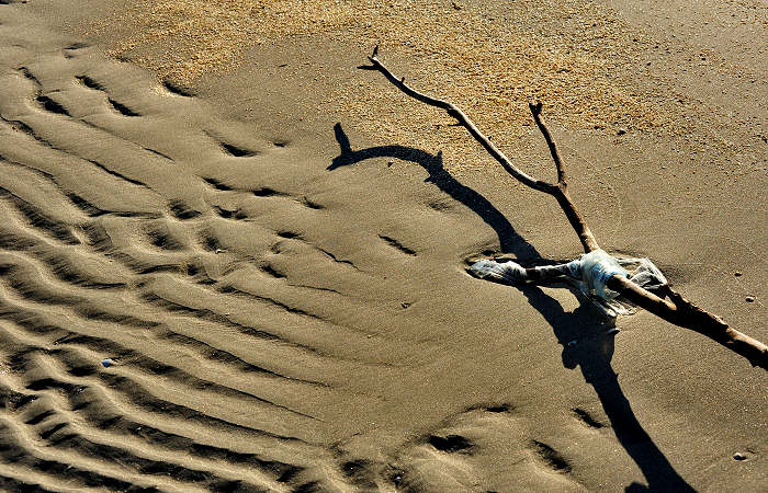 spiaggia di Boccasette alla foce del Po di Maistra, Porto Tolle