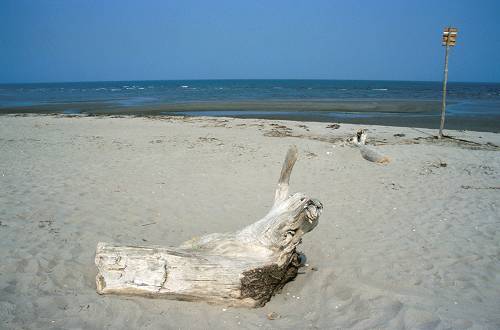 spiaggia di Caleri