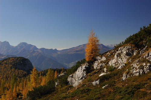Dolomiti - escursione rifugio Tissi al monte Civetta