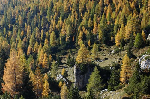 Dolomiti - escursione rifugio Tissi al monte Civetta