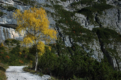Dolomiti - escursione rifugio Tissi al monte Civetta