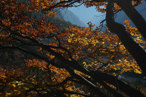 Dolomiti - escursione rifugio Tissi al monte Civetta