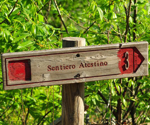 Sentiero Atestino al monte Ventolone, Valsanzibio Colli Euganei