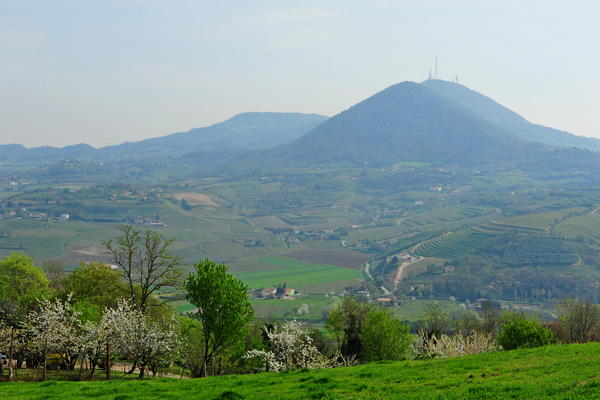 passeggiata Monte di Lozzo Atestino e Castello di Valbona, Colli Euganei