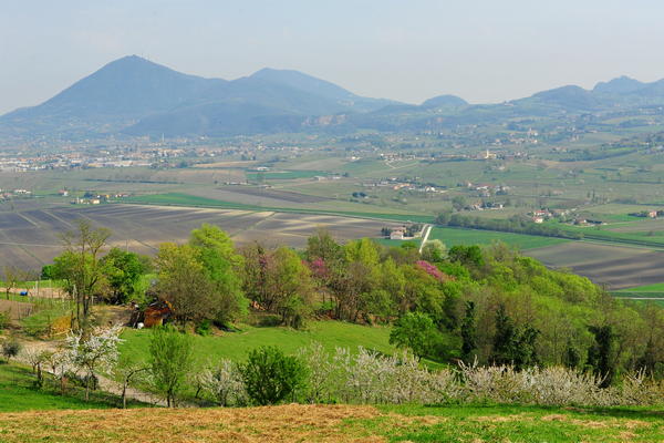 passeggiata Monte di Lozzo Atestino e Castello di Valbona, Colli Euganei