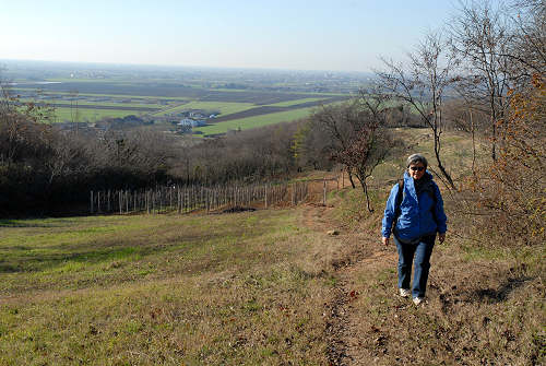 Monte di Lozzo Atestino, Parco Naturale Regionale dei Colli Euganei