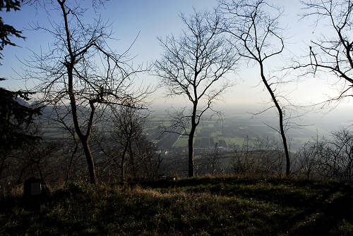 Monte di Lozzo Atestino, Parco Naturale Regionale dei Colli Euganei